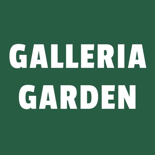 Kesän 2026 näyttelyhaku